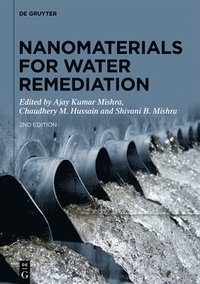 bokomslag Nanomaterials for Water Remediation