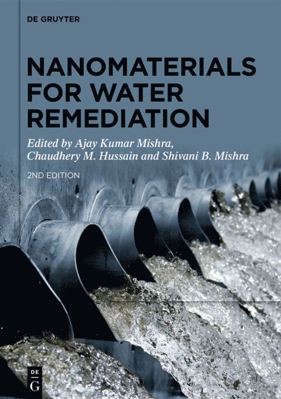 Ajay Kumar Mishra, Chaudhery M. Hussain, Shivani B. Mishra - Nanomaterials for Water Remediation, Inbunden