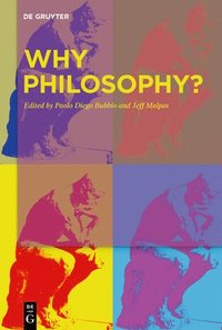 bokomslag Why Philosophy?