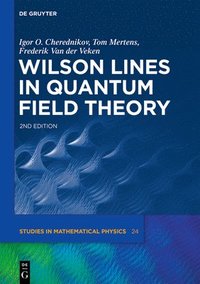 bokomslag Wilson Lines in Quantum Field Theory