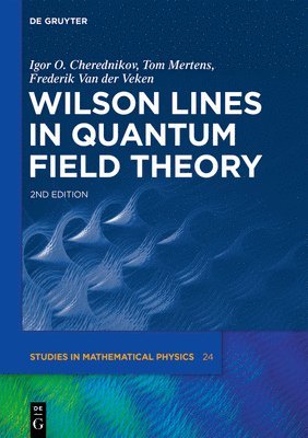 bokomslag Wilson Lines in Quantum Field Theory