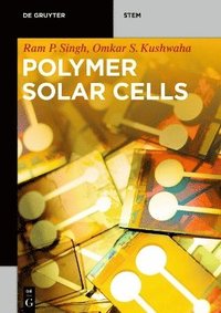 bokomslag Polymer Solar Cells