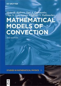 bokomslag Mathematical Models of Convection