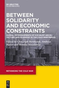 bokomslag Between Solidarity and Economic Constraints
