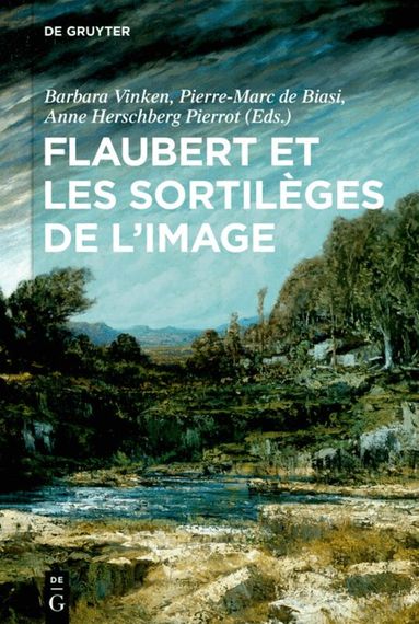 Barbara Vinken, Pierre-Marc de Biasi, Anne Herschberg Pierrot - Flaubert et les sortilèges de l'image, Inbunden