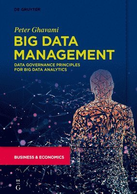 bokomslag Big Data Management