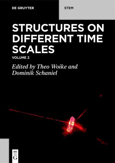 bokomslag Structures on Different Time Scales