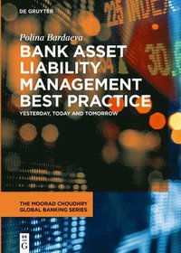 bokomslag Bank Asset Liability Management Best Practice