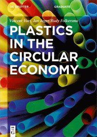 bokomslag Plastics in the Circular Economy