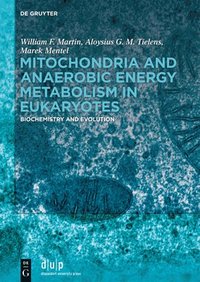 bokomslag Mitochondria and Anaerobic Energy Metabolism in Eukaryotes