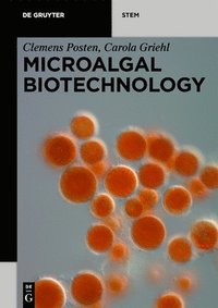 bokomslag Microalgal Biotechnology