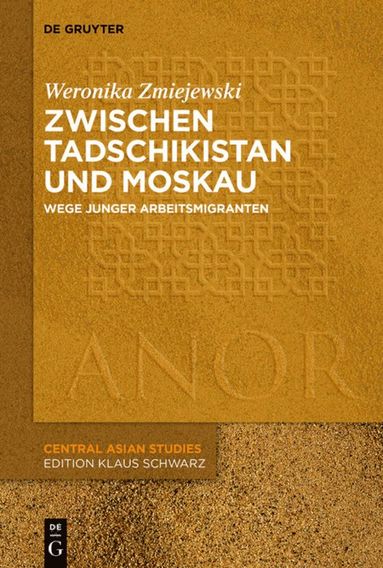 bokomslag Zwischen Tadschikistan und Moskau