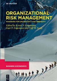 bokomslag Organizational Risk Management