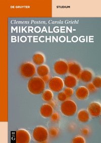 bokomslag Mikroalgen-Biotechnologie