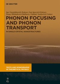 bokomslag Phonon Focusing and Phonon Transport