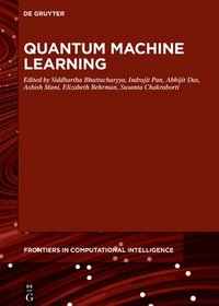 bokomslag Quantum Machine Learning