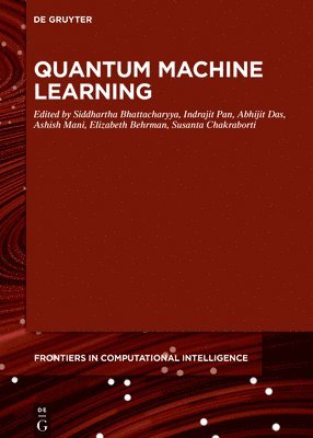 bokomslag Quantum Machine Learning
