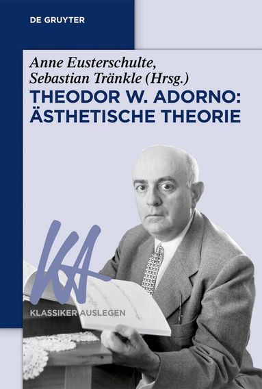 Anne Eusterschulte, Sebastian Tränkle - Theodor W. Adorno: Ästhetische Theorie, Häftad