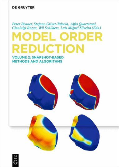 Peter Benner, Et Al - Snapshot-Based Methods and Algorithms, Inbunden