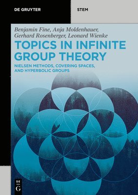 Benjamin Fine, Anja Moldenhauer, Gerhard Rosenberger, Leonard Wienke - Topics in Infinite Group Theory, Häftad