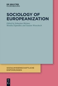 bokomslag Sociology of Europeanization