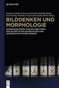 bokomslag Bilddenken und Morphologie