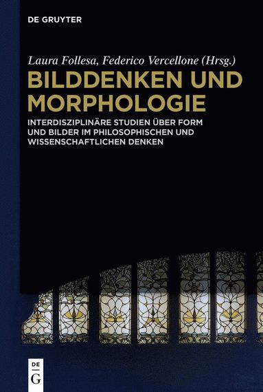 bokomslag Bilddenken und Morphologie