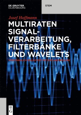 Josef Hoffmann - Multiraten Signalverarbeitung, Filterbänke Und Wavelets, Häftad