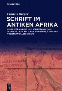 bokomslag Schrift im antiken Afrika
