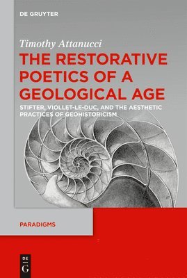 bokomslag The Restorative Poetics of a Geological Age