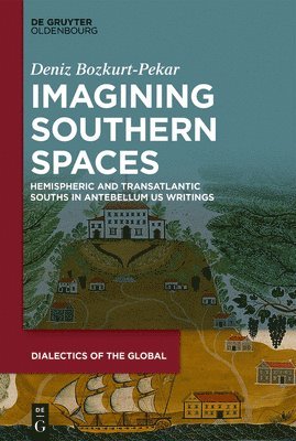 bokomslag Imagining Southern Spaces