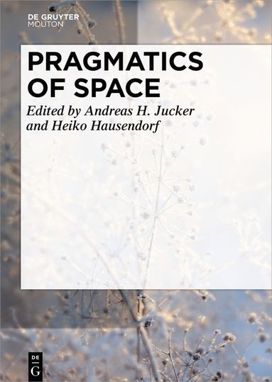 bokomslag Pragmatics of Space