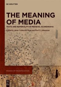 bokomslag The Meaning of Media