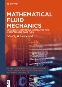 bokomslag Mathematical Fluid Mechanics
