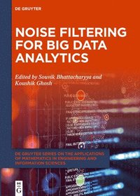 bokomslag Noise Filtering for Big Data Analytics