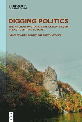 Digging Politics 1