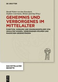 bokomslag Geheimnis und Verborgenes im Mittelalter