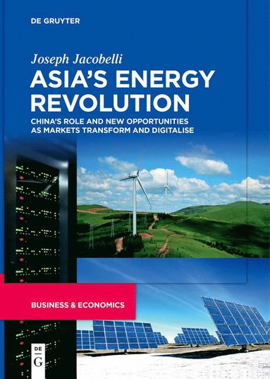 bokomslag Asia's Energy Revolution