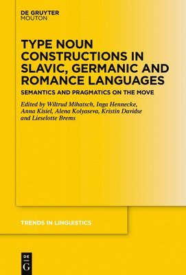 Type Noun Constructions in Slavic, Germanic and Romance Languages 1