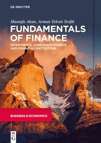 bokomslag Fundamentals of Finance