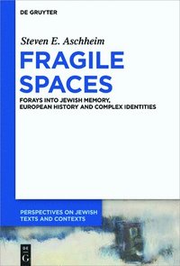 bokomslag Fragile Spaces
