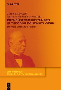 bokomslag Grenzberschreitungen in Theodor Fontanes Werk
