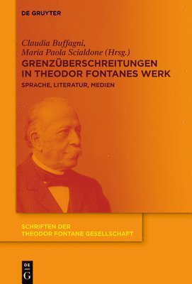 bokomslag Grenzüberschreitungen in Theodor Fontanes Werk