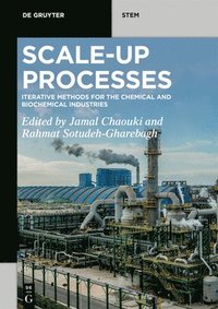 bokomslag Scale-Up Processes