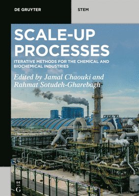 Scale-Up Processes 1