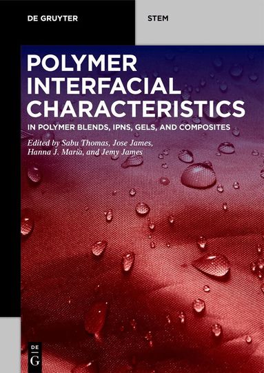 Sabu Thomas, Jose James, Hanna J Maria, Jemy James - Polymer Interfacial Characteristics, Häftad