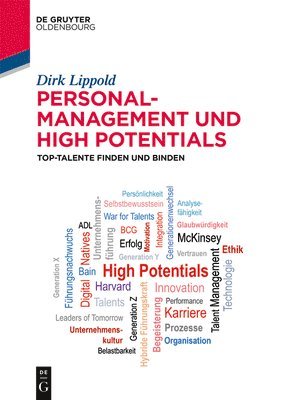 bokomslag Personalmanagement Und High Potentials