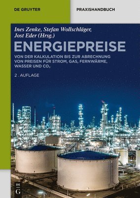 bokomslag Energiepreise