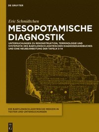 bokomslag Mesopotamische Diagnostik