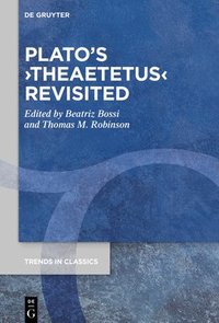 bokomslag Platos Theaetetus Revisited